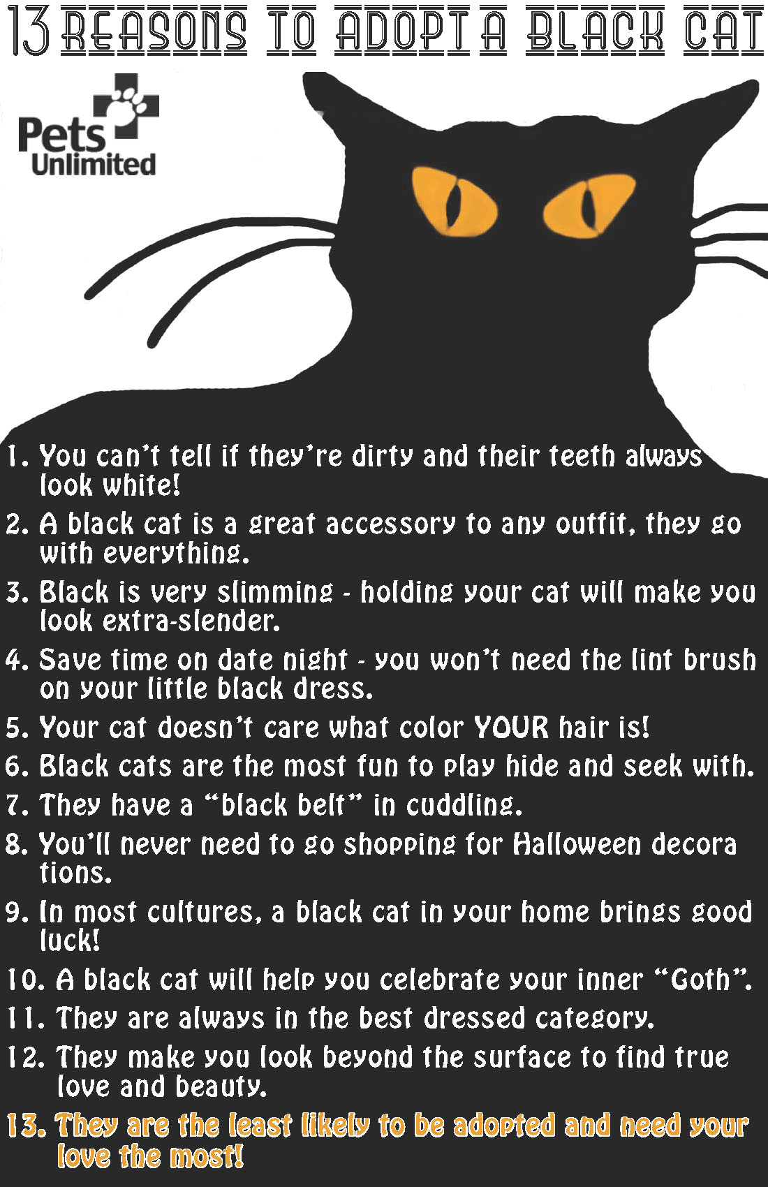 black_cat_promo