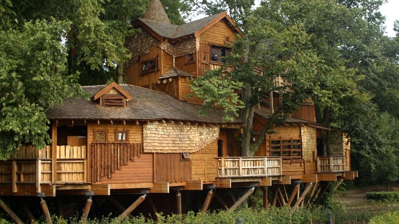 glamping-tree-house-800x450