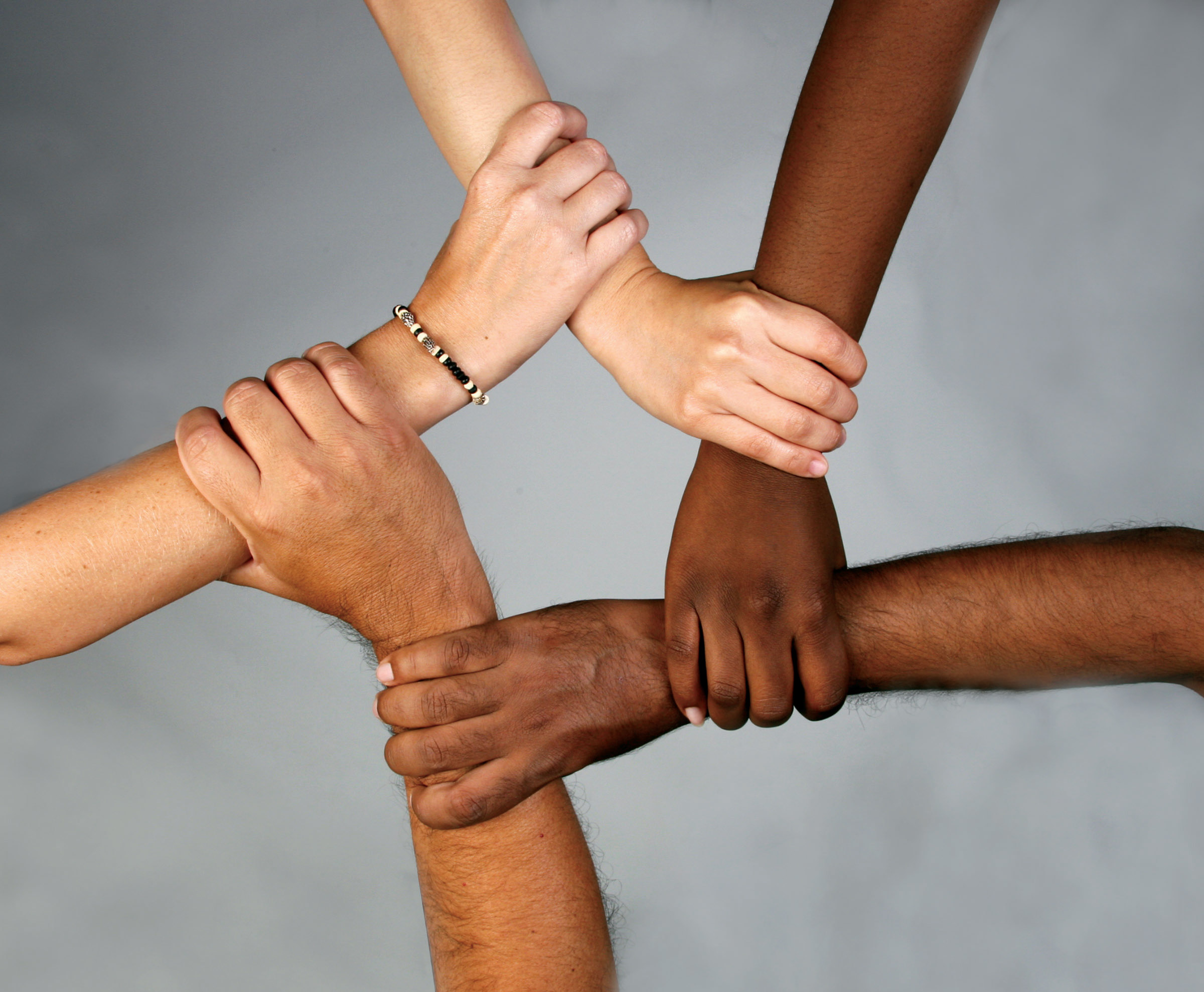 Diversity-networks