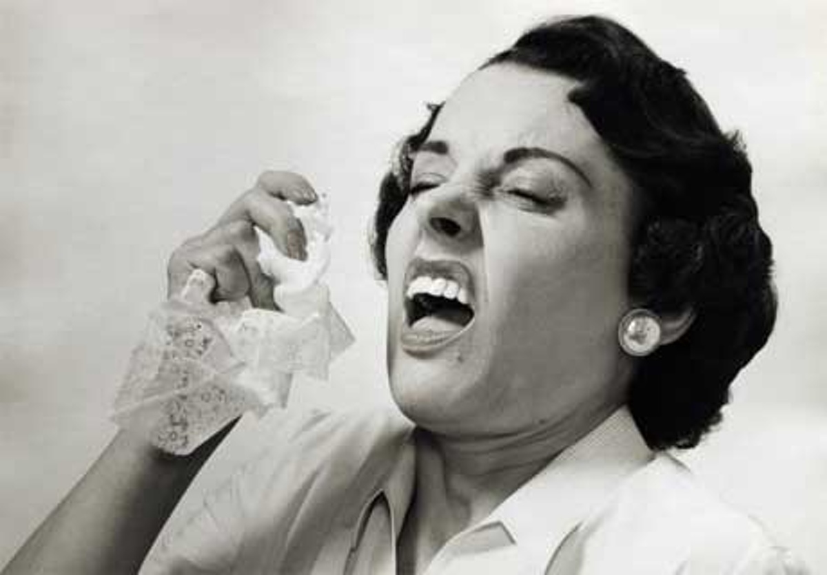 sneeze.article