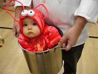 lobster-baby-costume