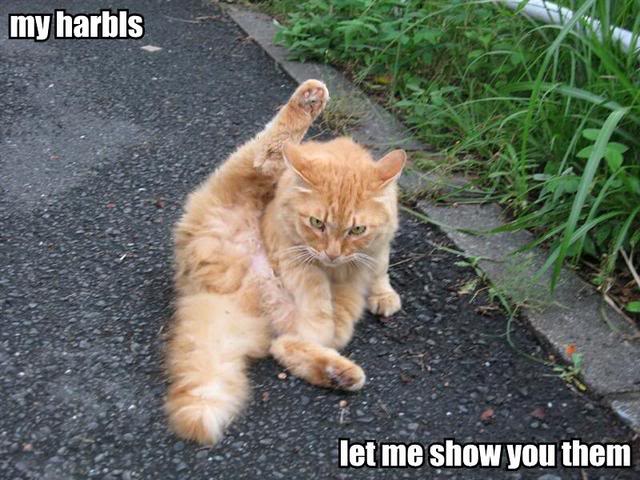 my-harbls-let-me-show-you-them