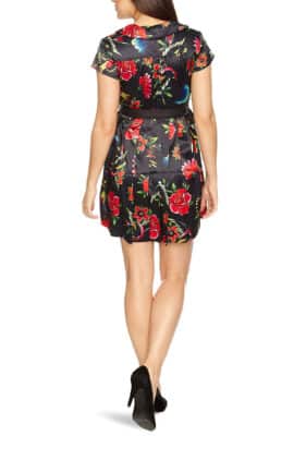 Womens Sailors Delight Peter Pan Dress (Iron Fist)